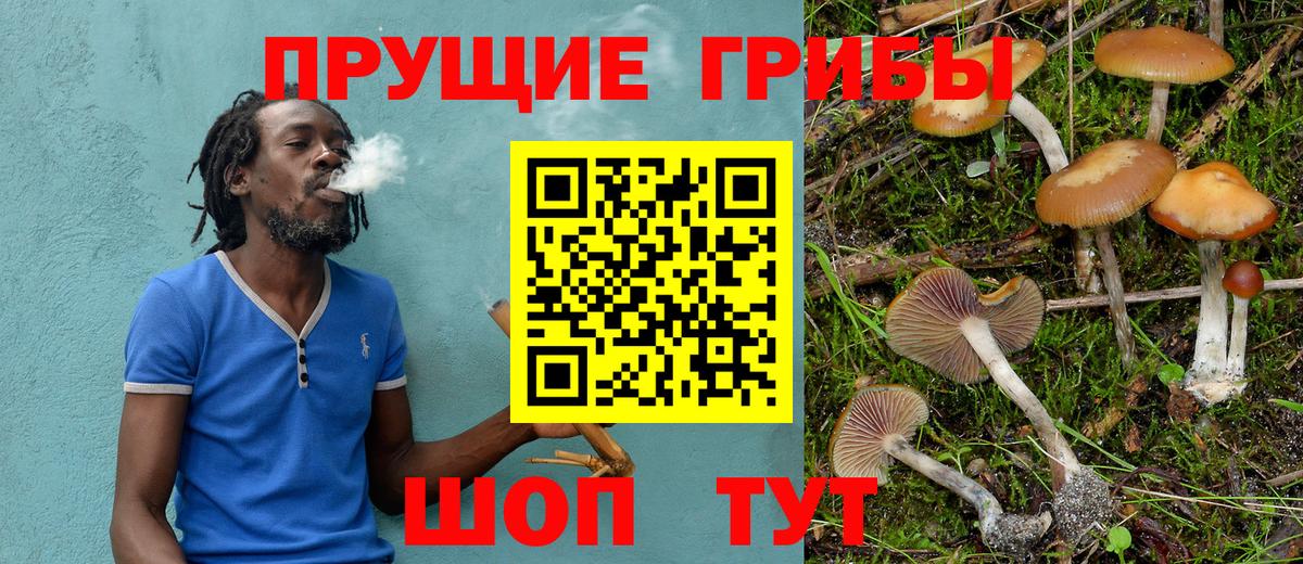 Псилоцибиновые грибы Magic Shrooms Кондопога
